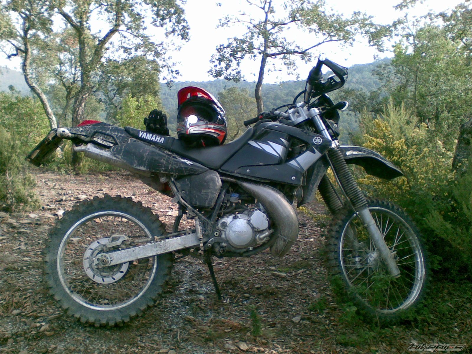 Photo 1827866