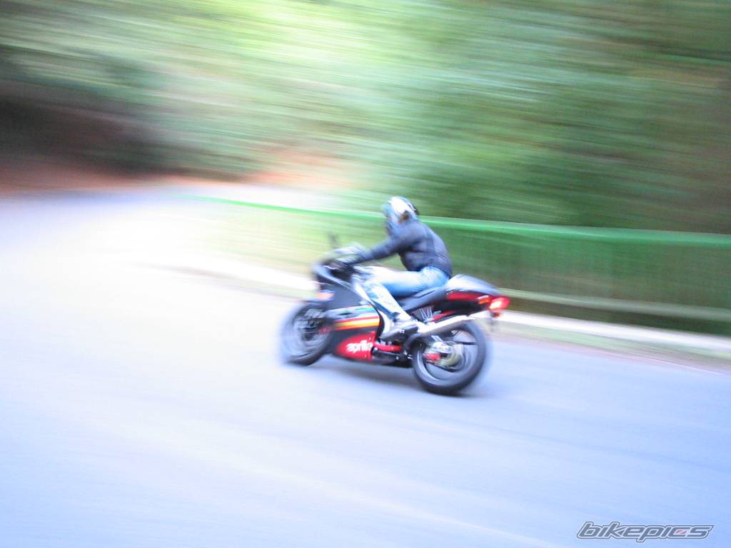 Photo 182796