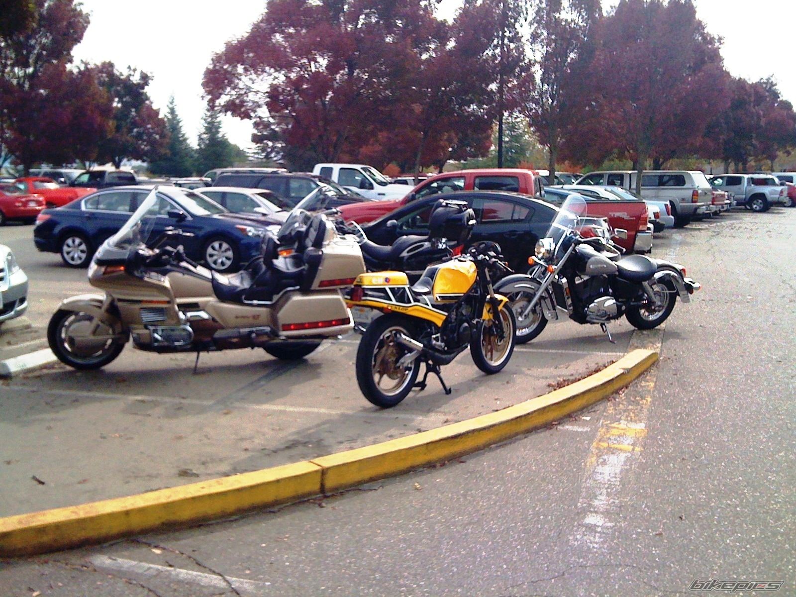 Photo 1828158