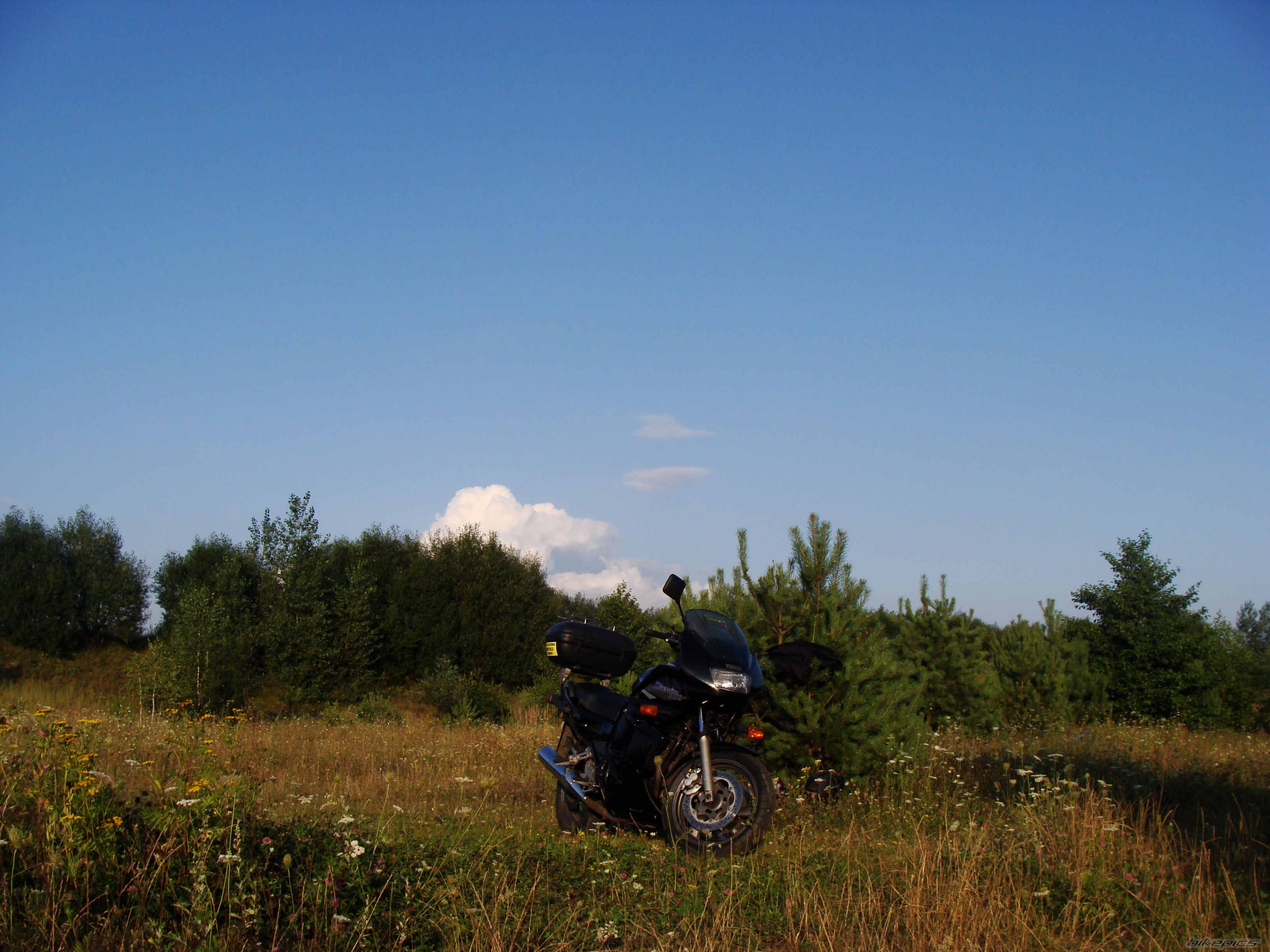 Bike Photo 1828296
