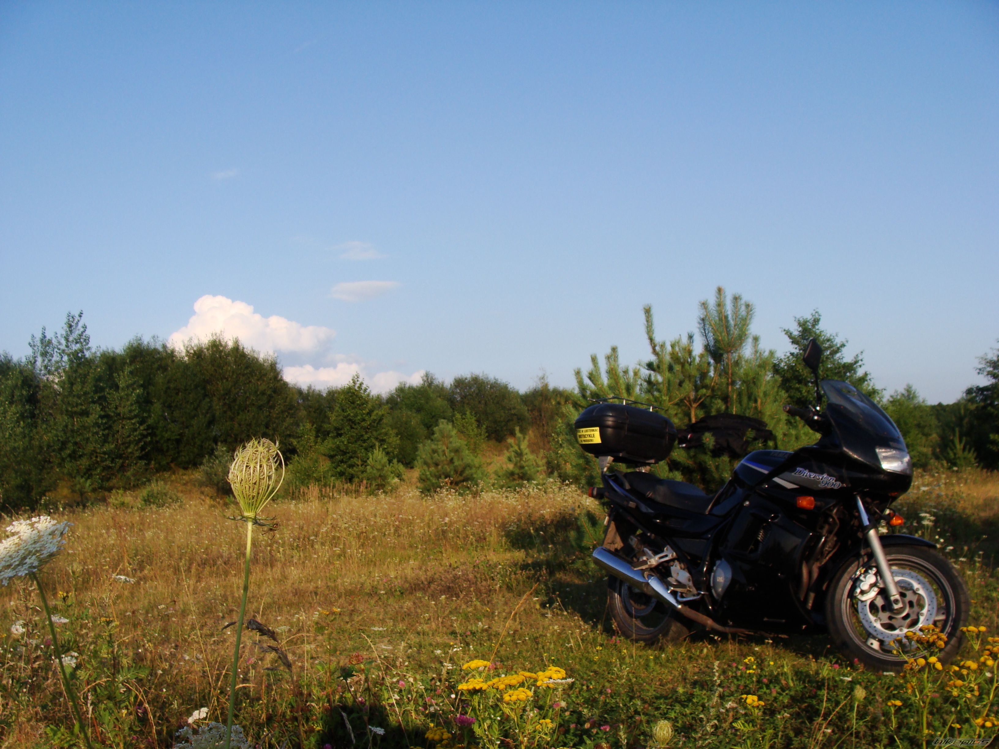 Bike Photo 1828298