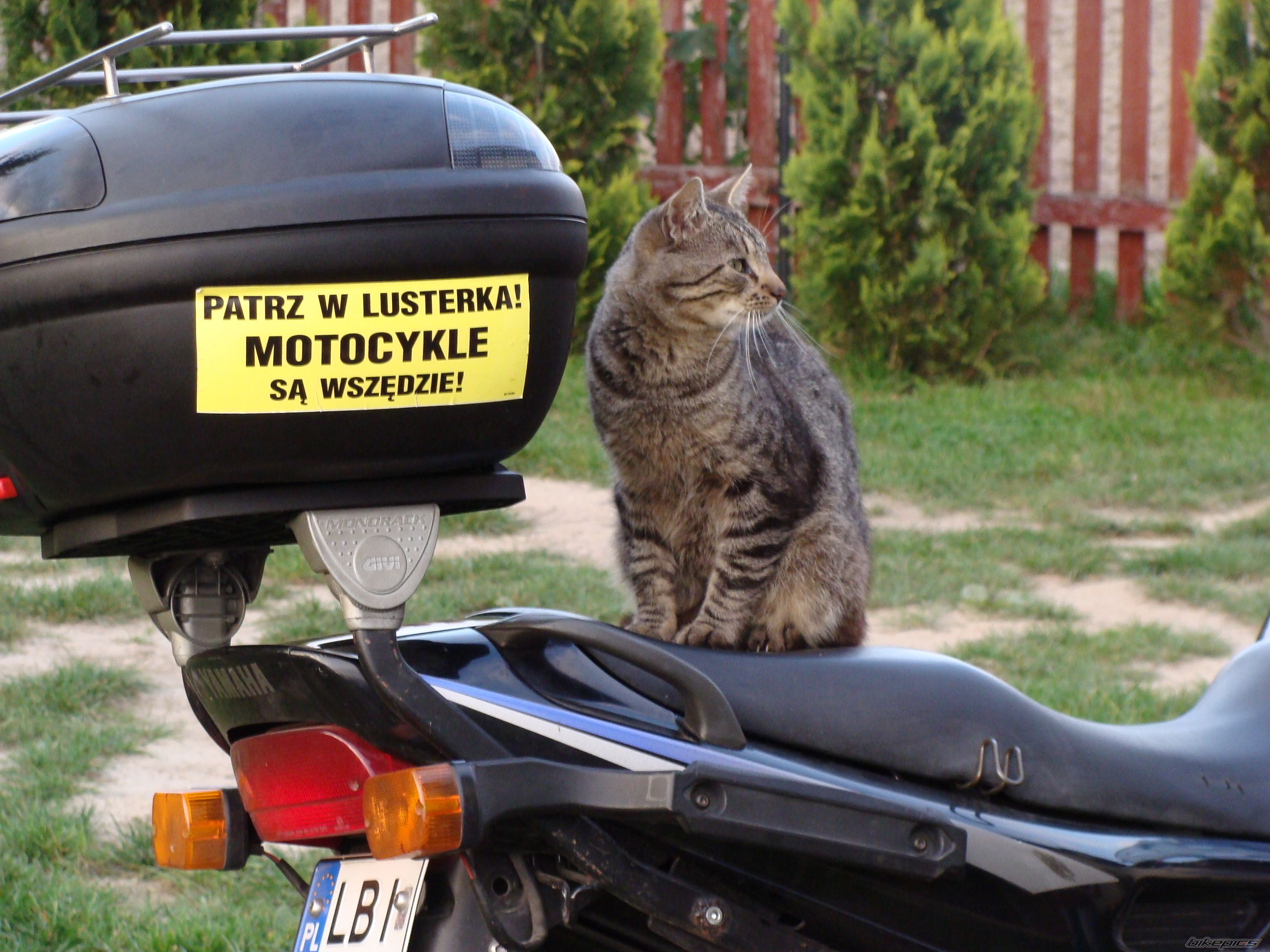 Bike Photo 1828307