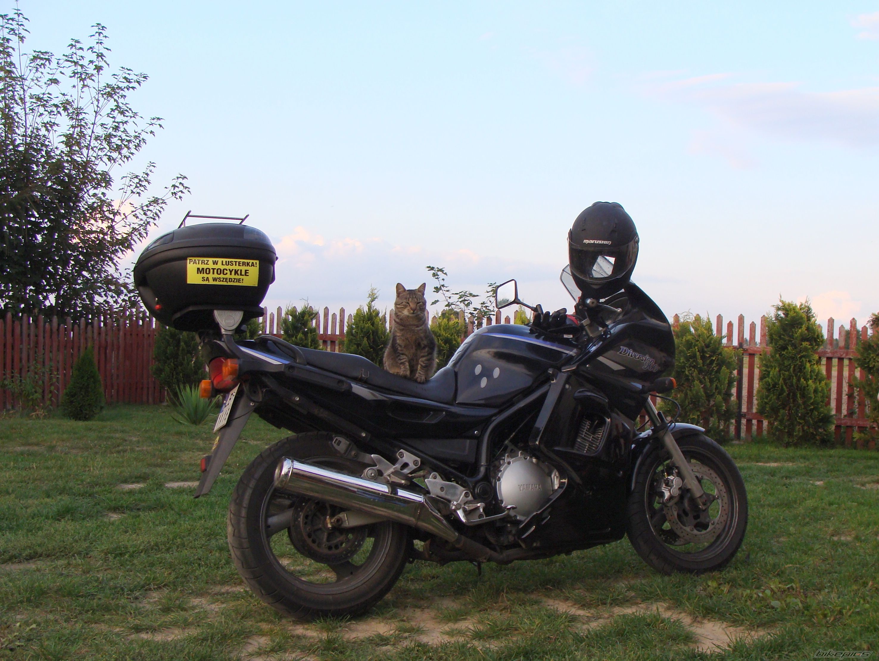 Bike Photo 1828310