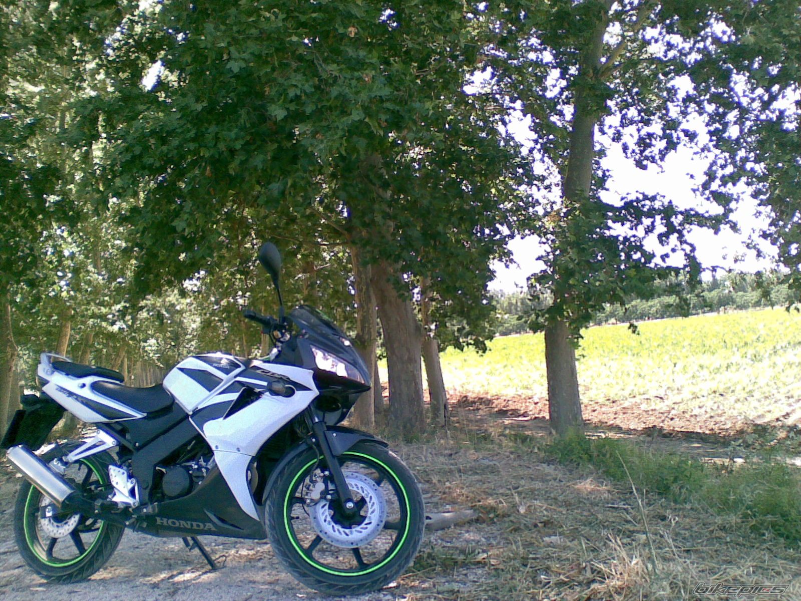 Bike Photo 1828339