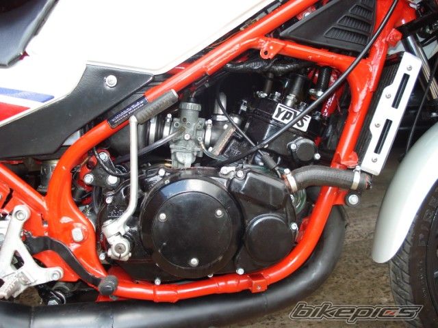 Bike Photo 1828372
