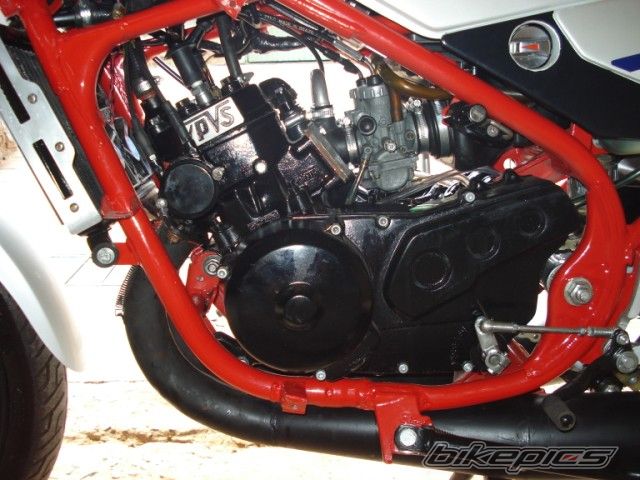 Bike Photo 1828374