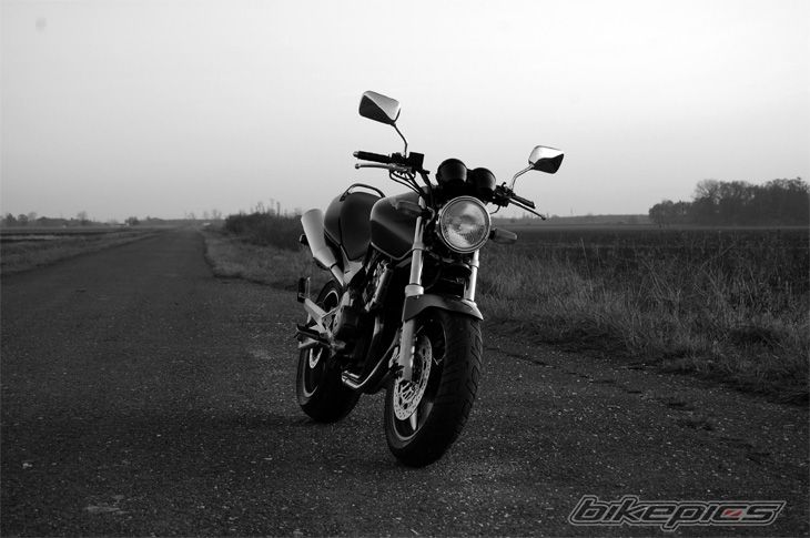 Photo 1828616