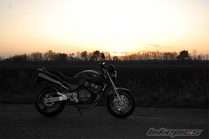Photo 1828617