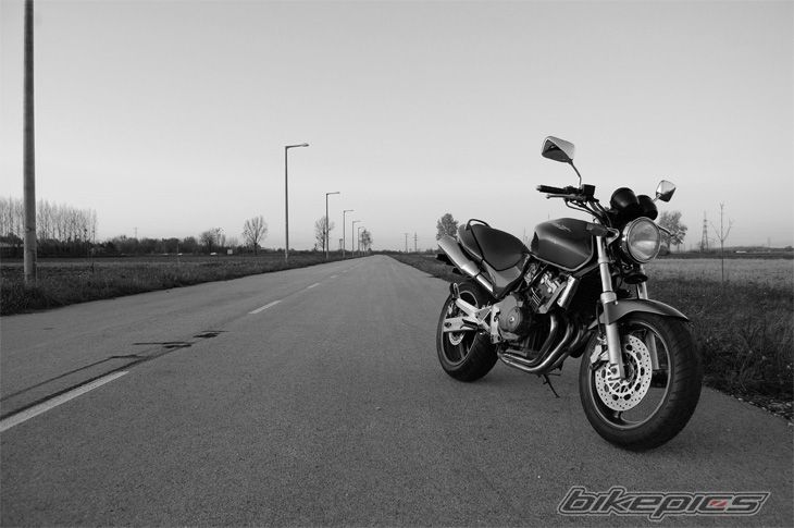 Photo 1828623