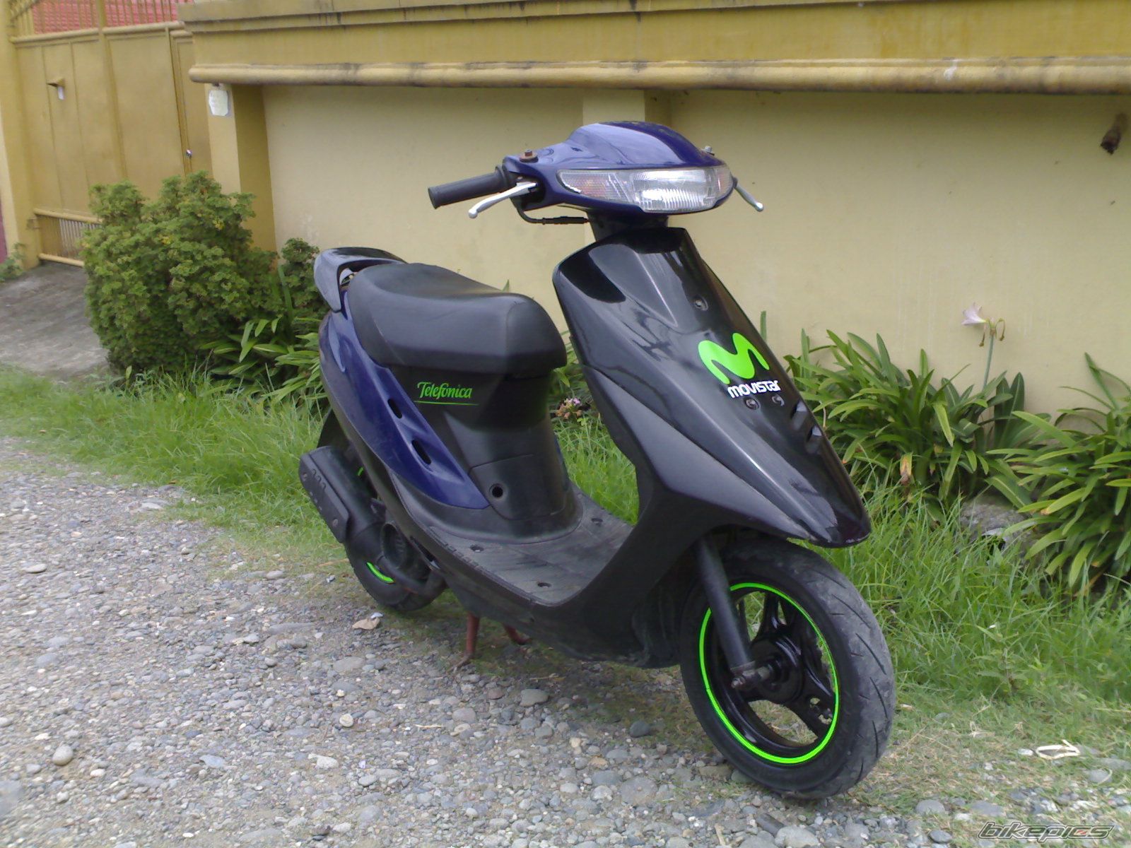 Photo 1828753