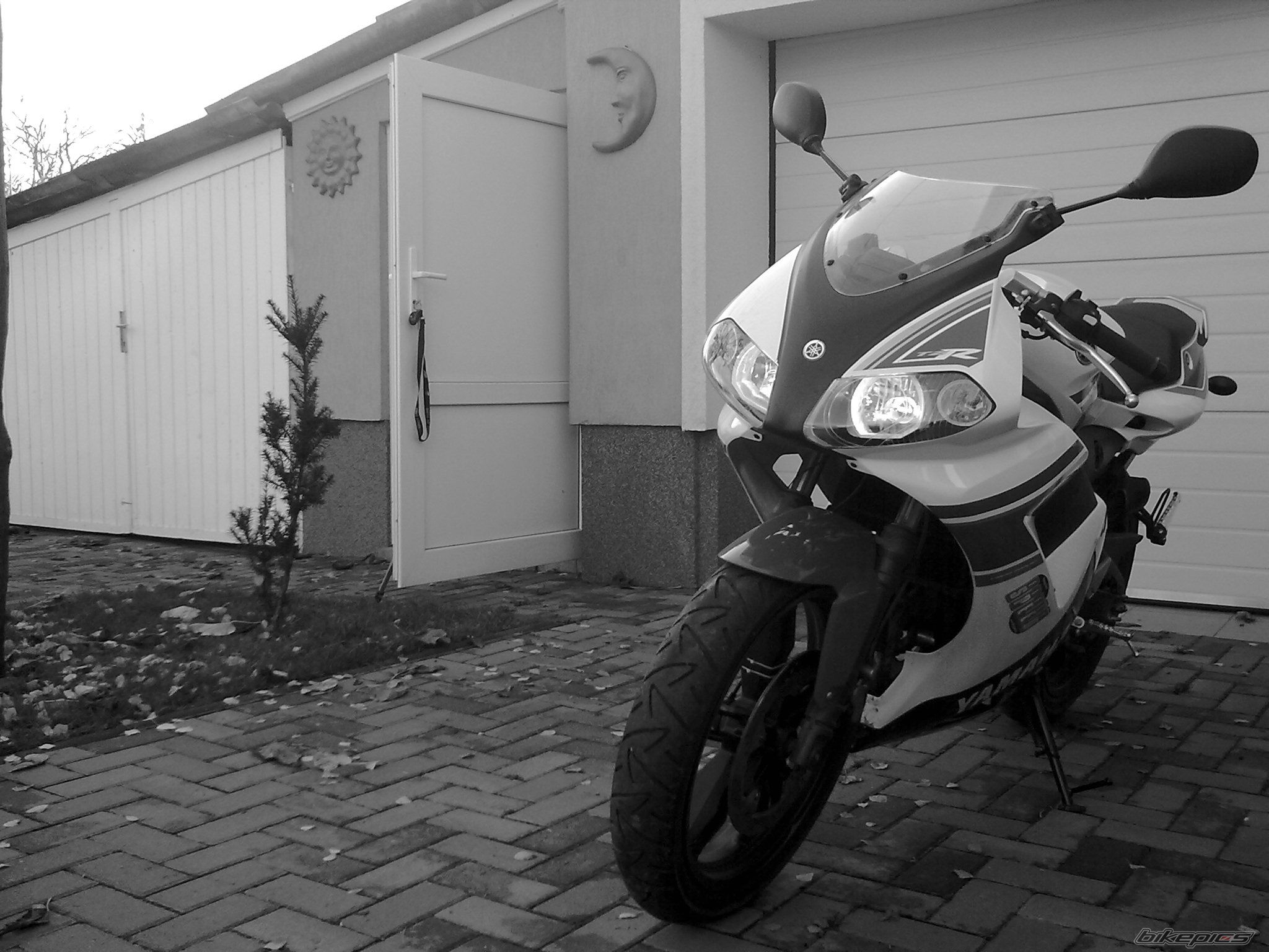 Bike Photo 1828895