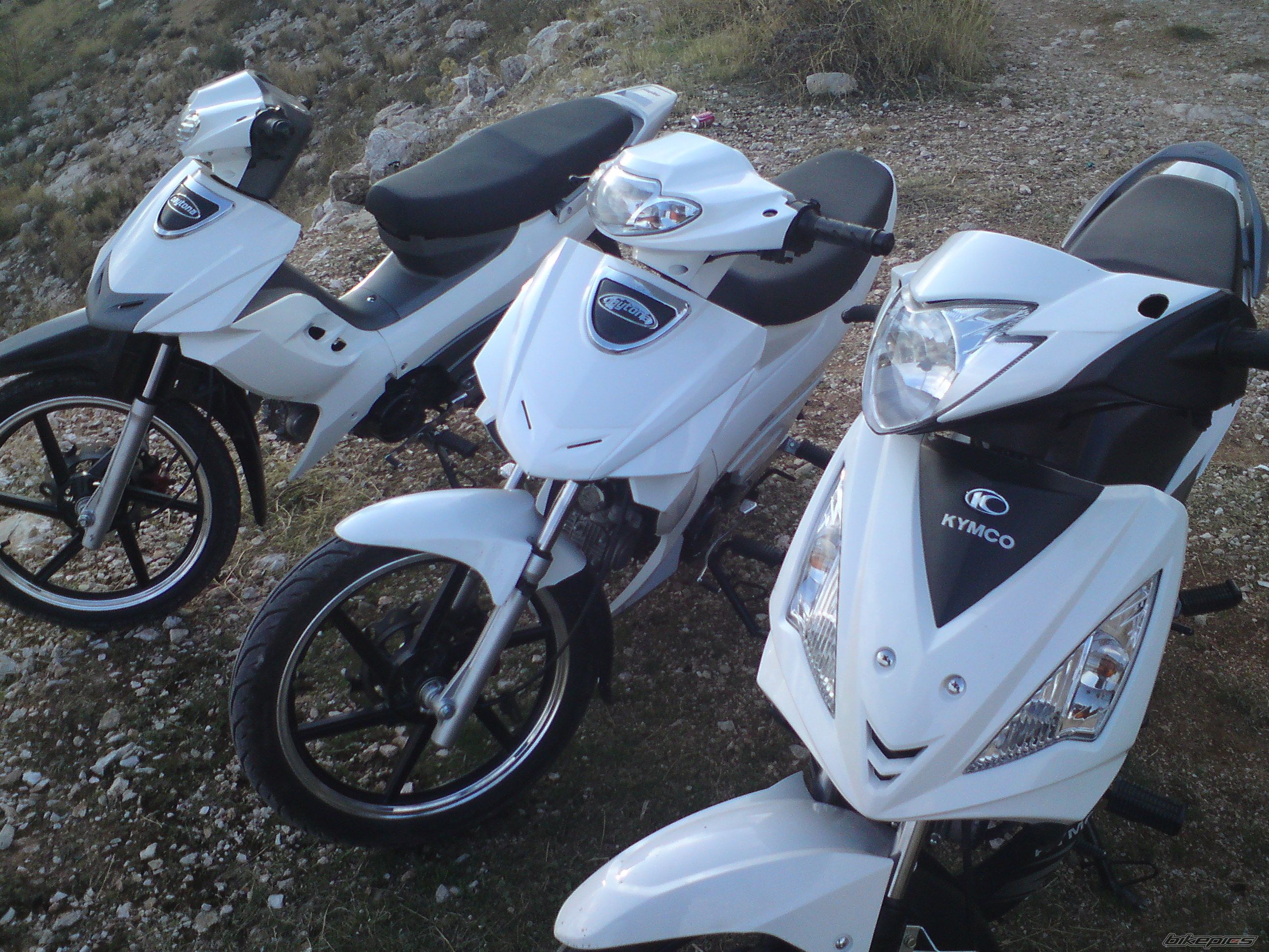 Photo 1828961