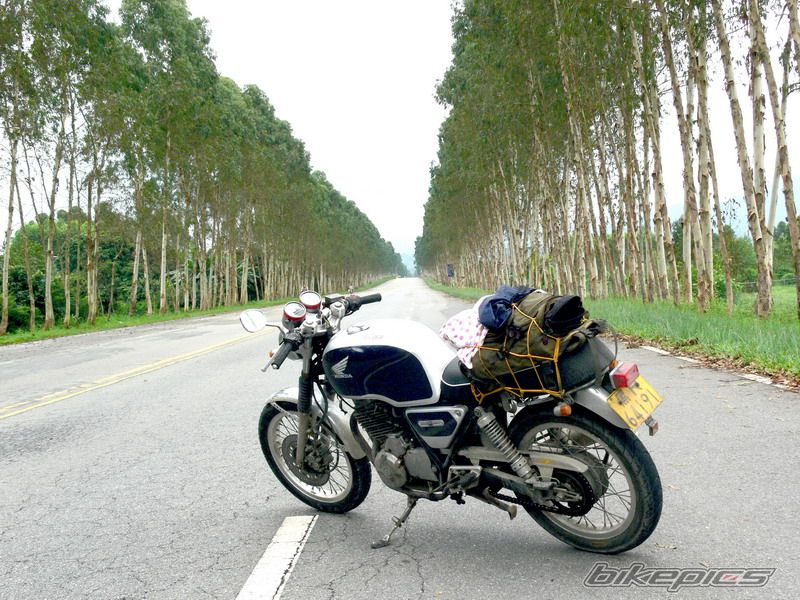 Bike Photo 1829024