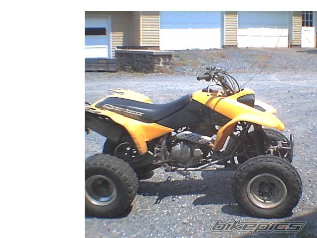 Photo 182913