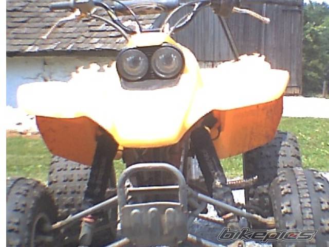 Photo 182915