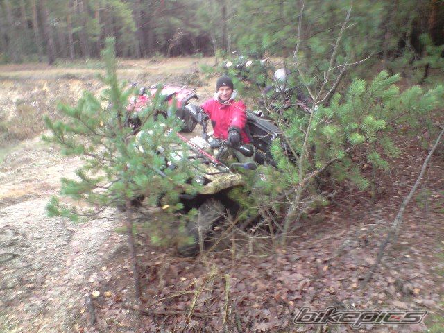 Photo 1829712