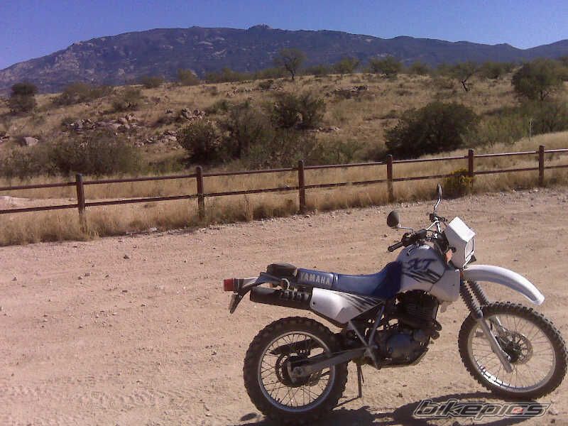 Photo 1830201