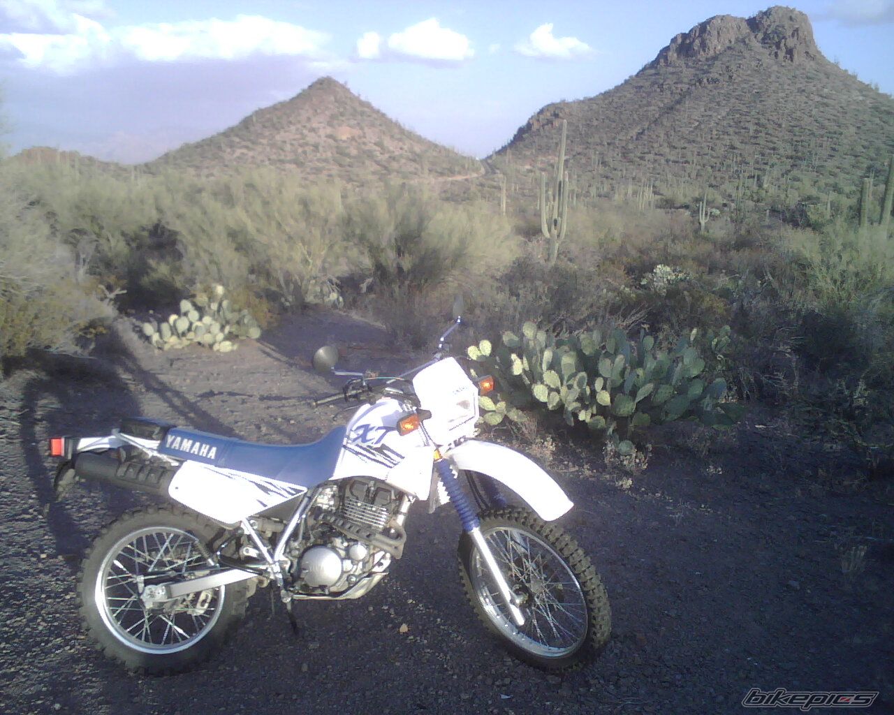 Photo 1830206
