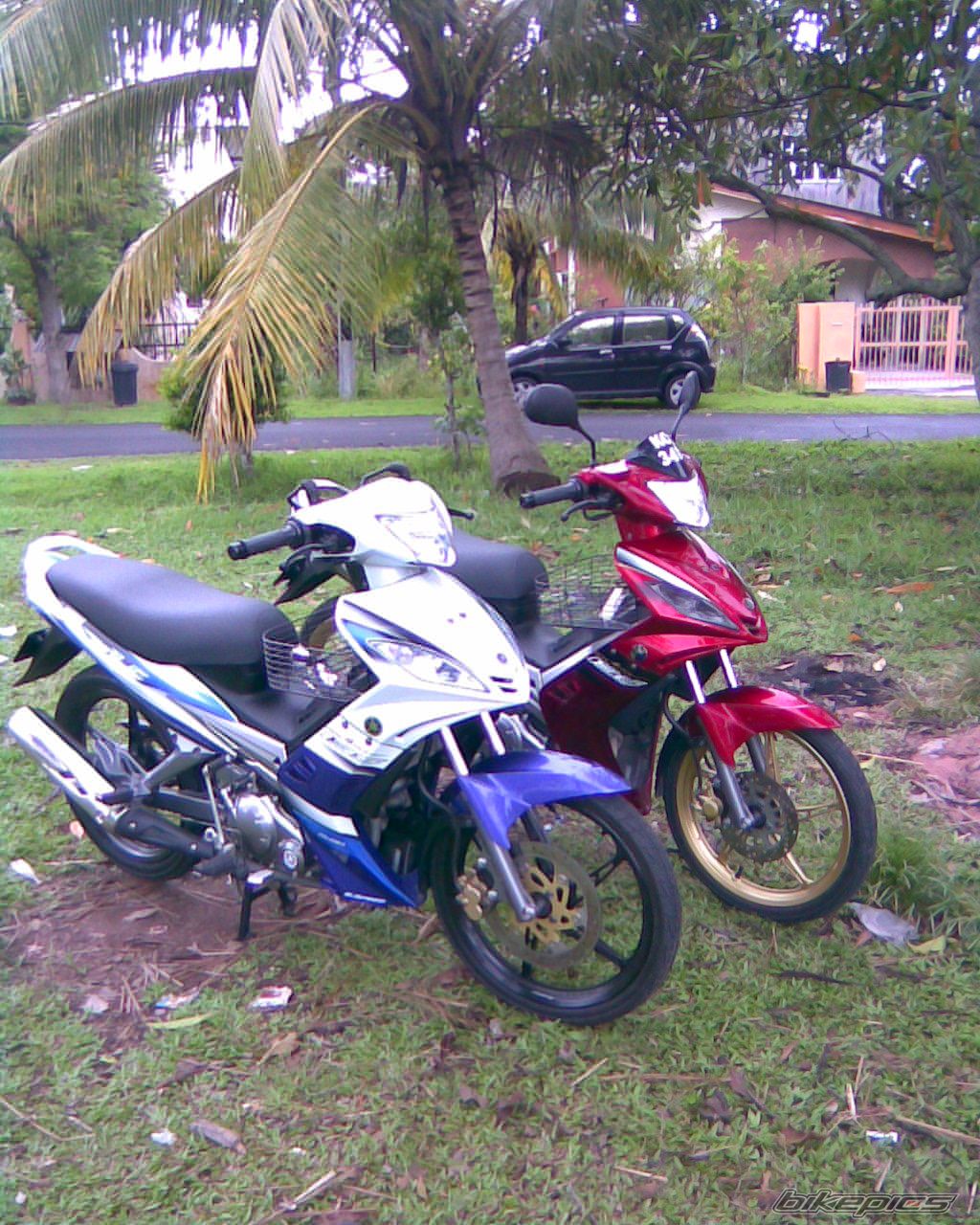 Photo 1830500