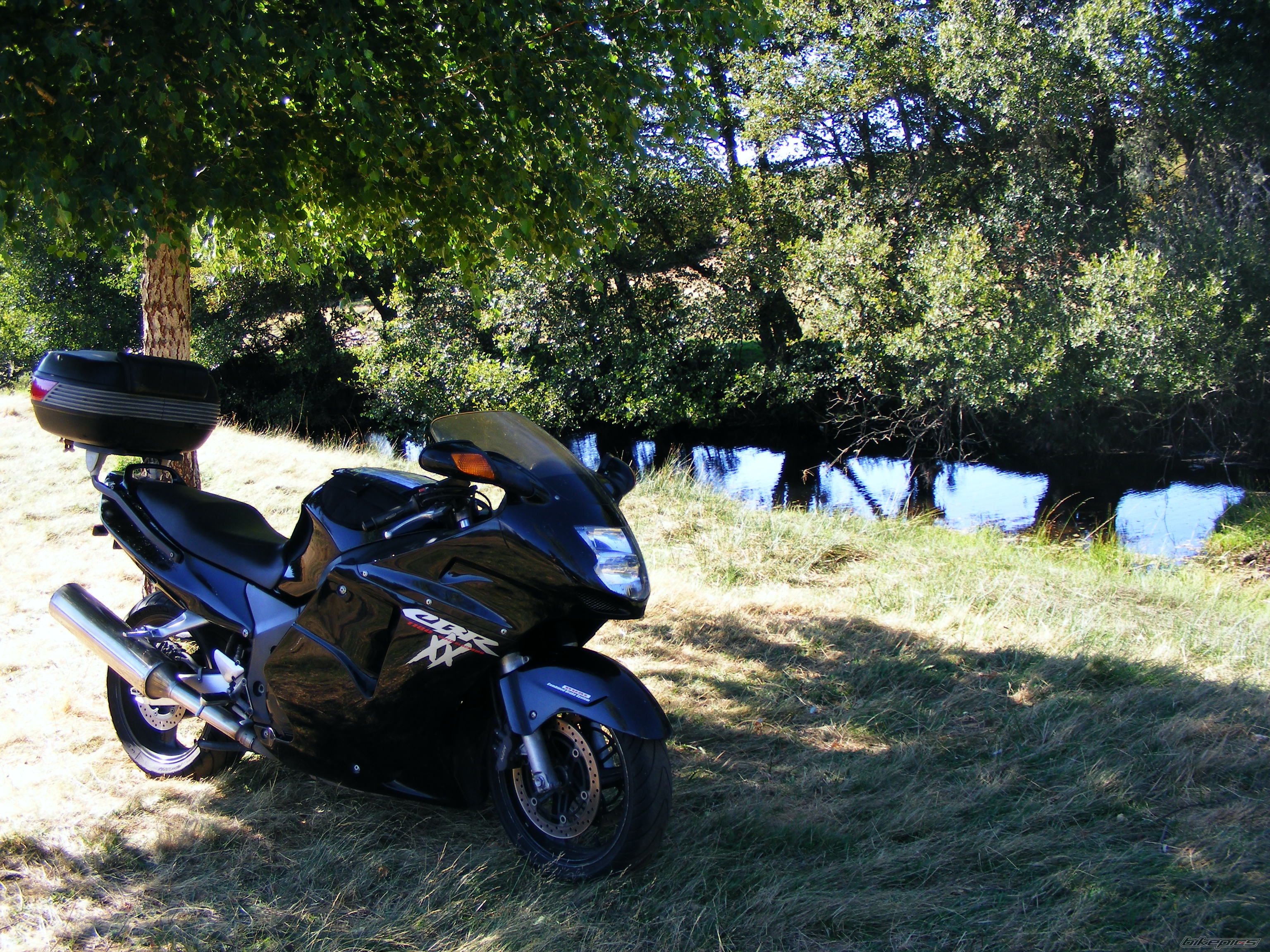 Bike Photo 1830639