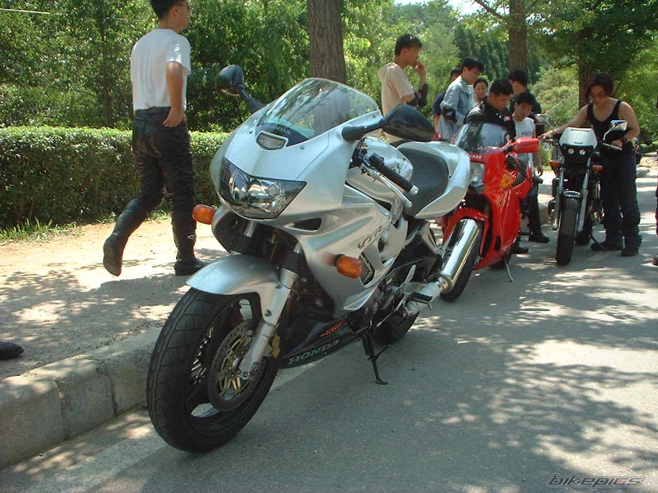 Photo 18307