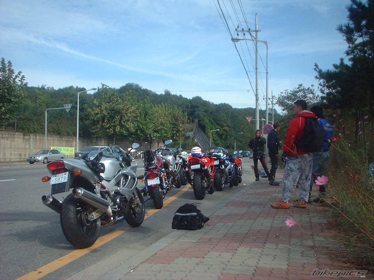 Photo 18309