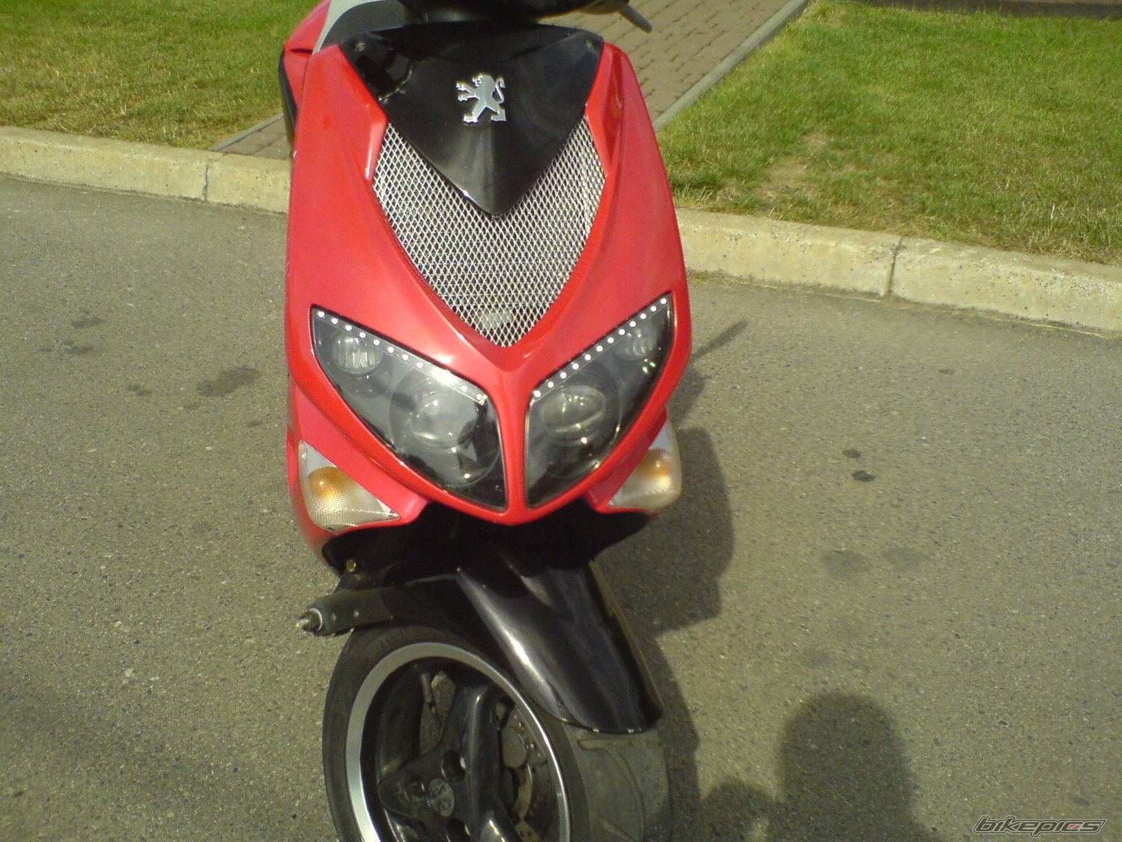 Photo 1831219