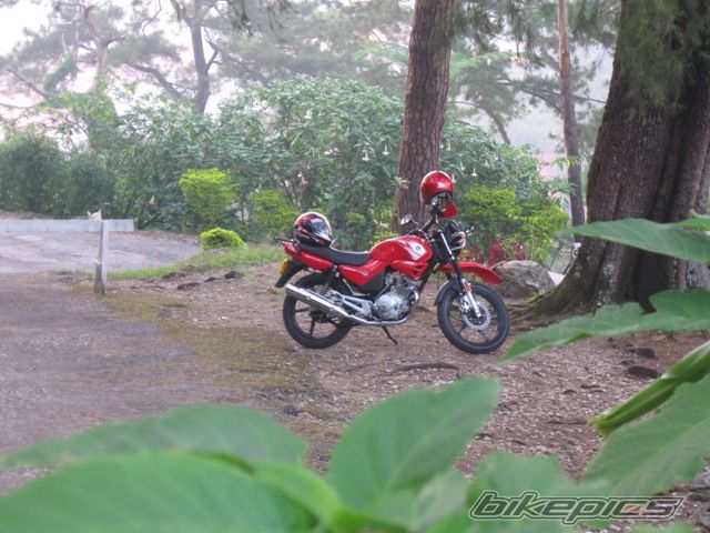 Bike Photo 1831334