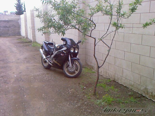 Photo 1831432