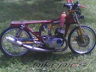 Photo 1831479