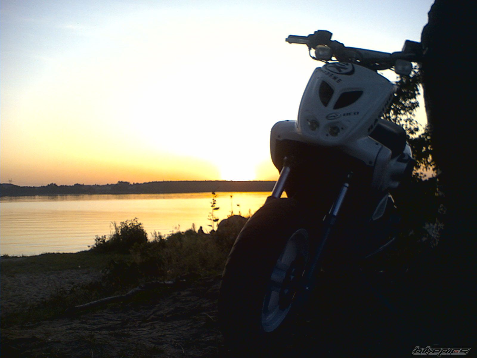 Photo 1831673