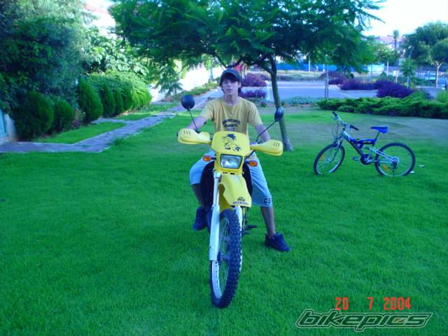 Photo 183174