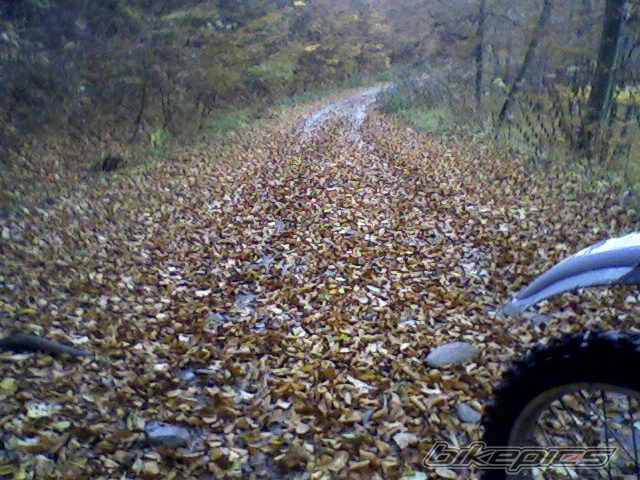 Bike Photo 1831763