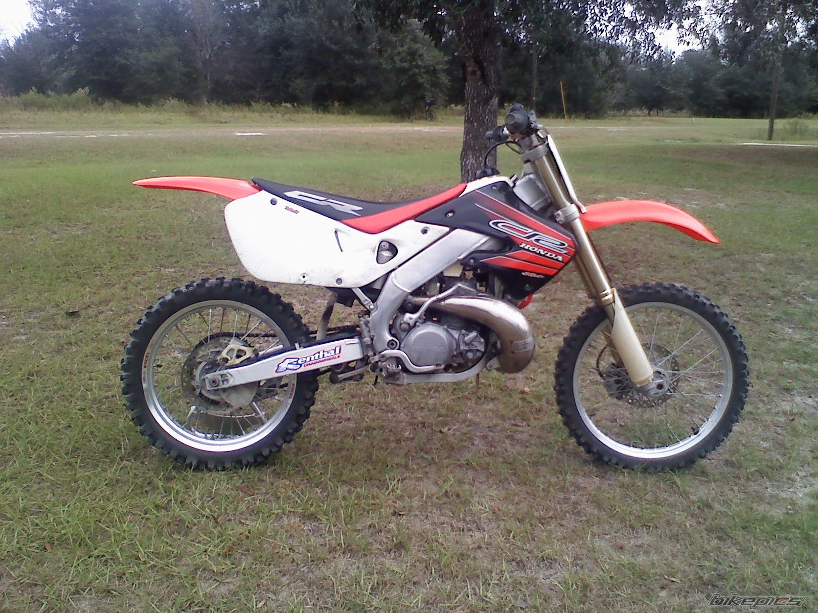 Photo 1831795