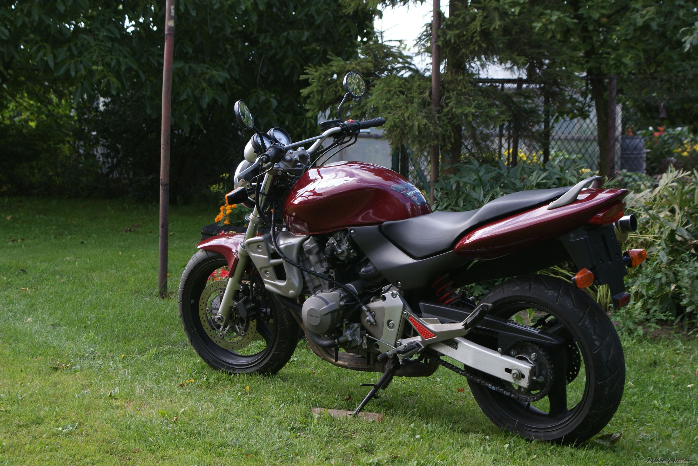 Photo 1831878
