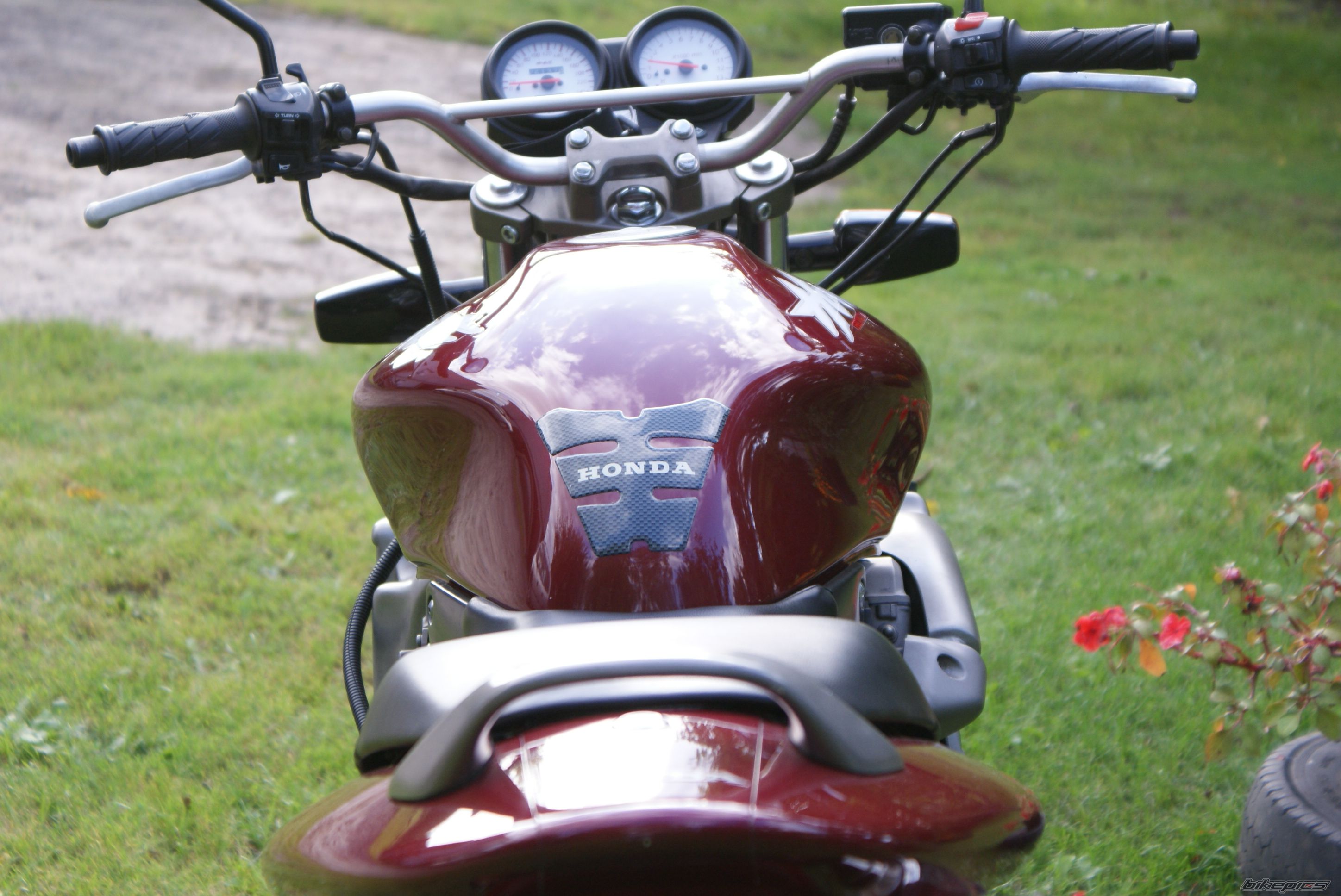 Photo 1831880