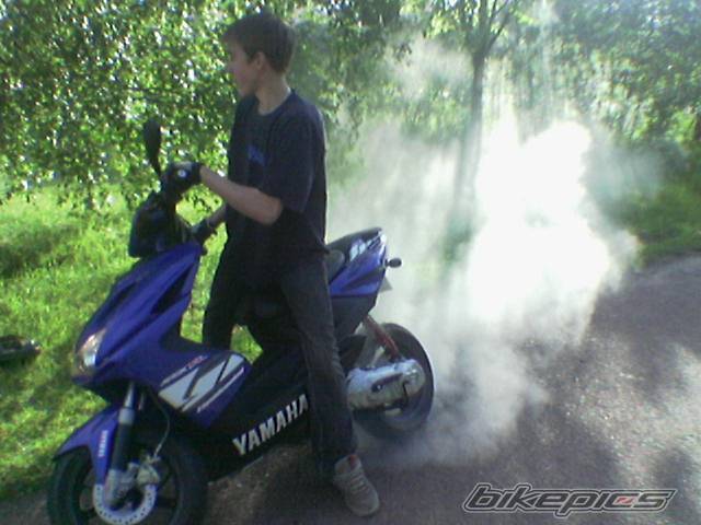 Photo 183193