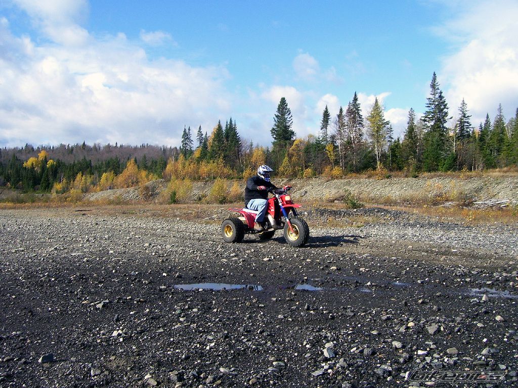 Photo 1831949