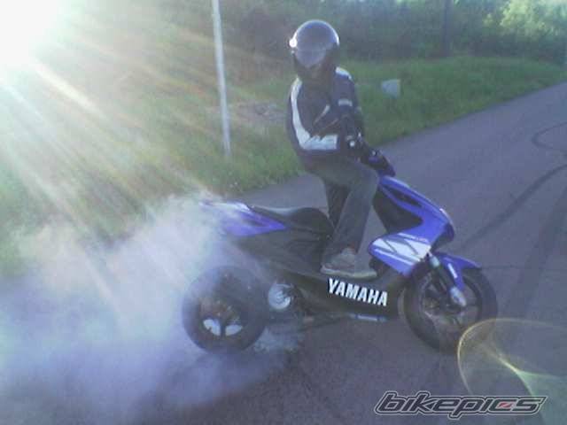 Photo 183195