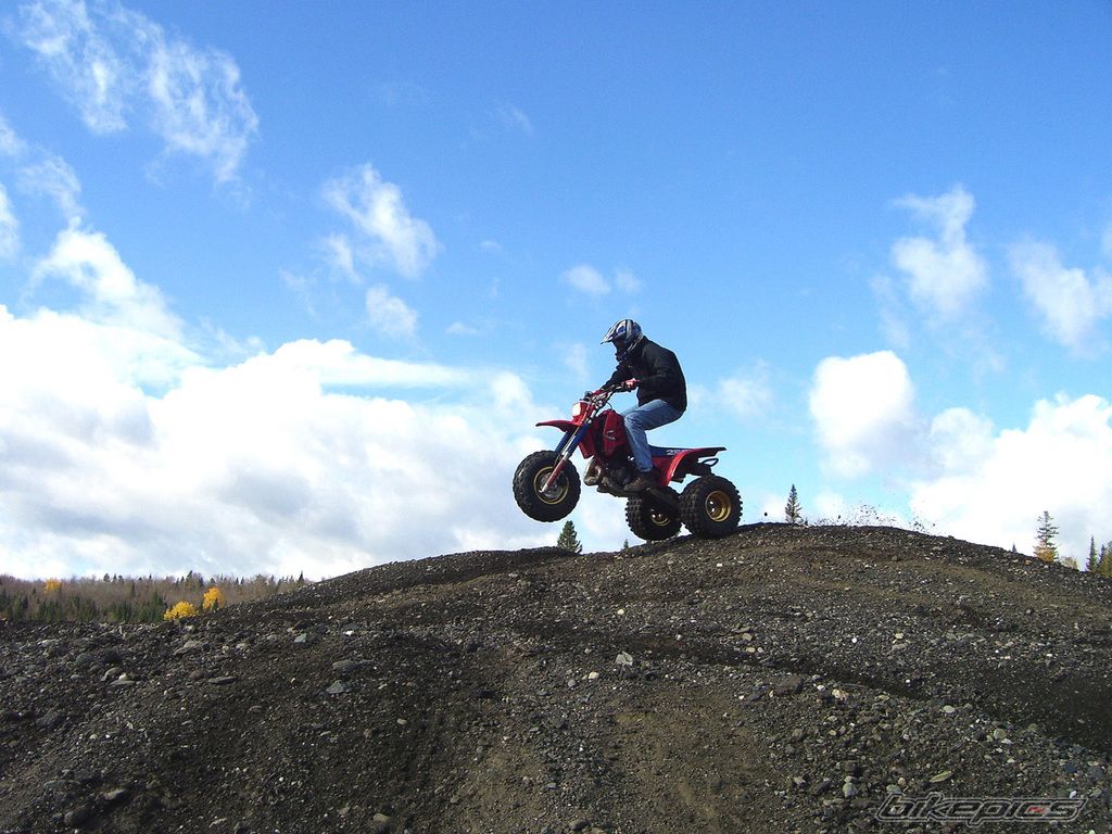 Photo 1831977