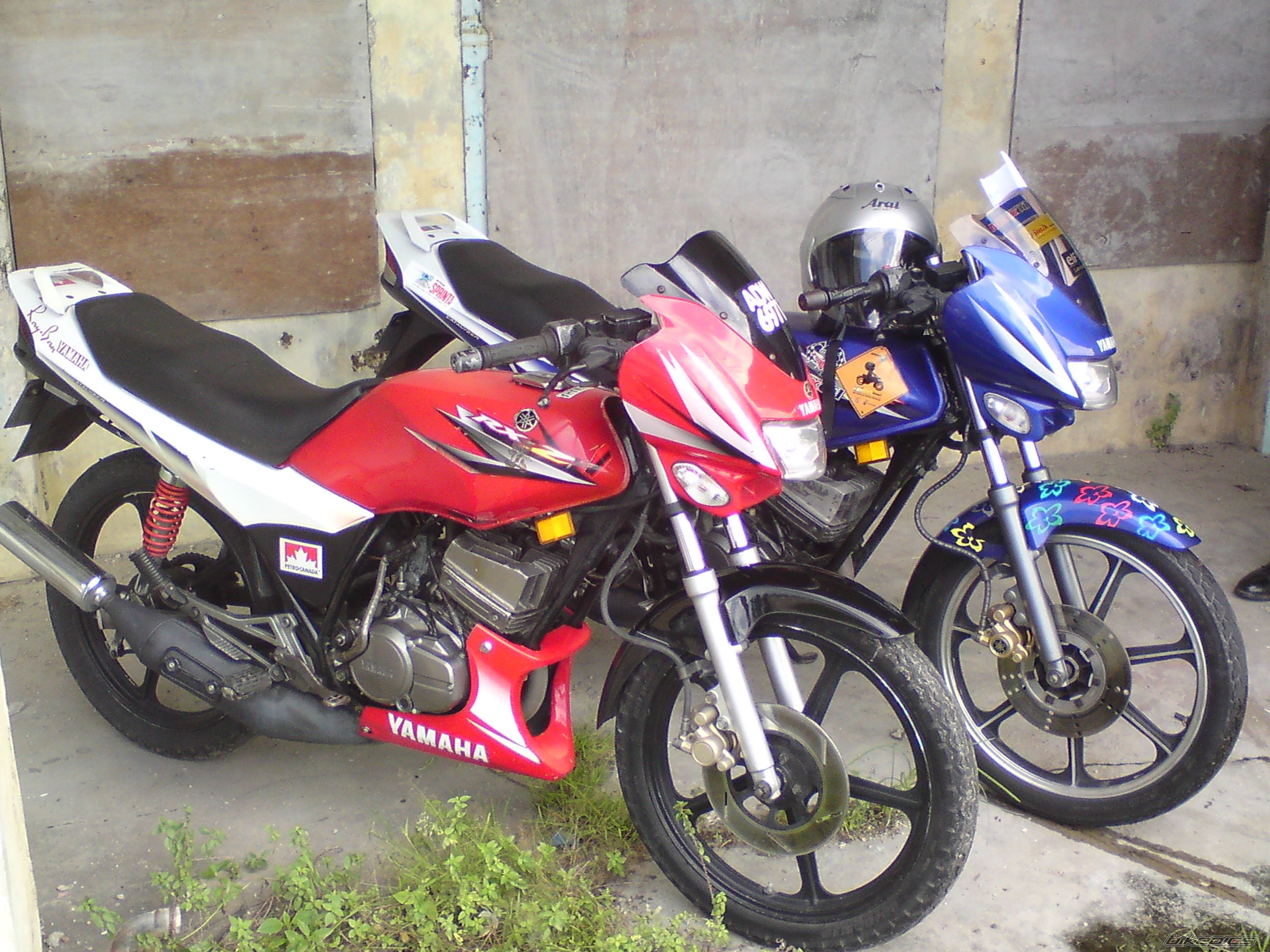 Photo 1832195