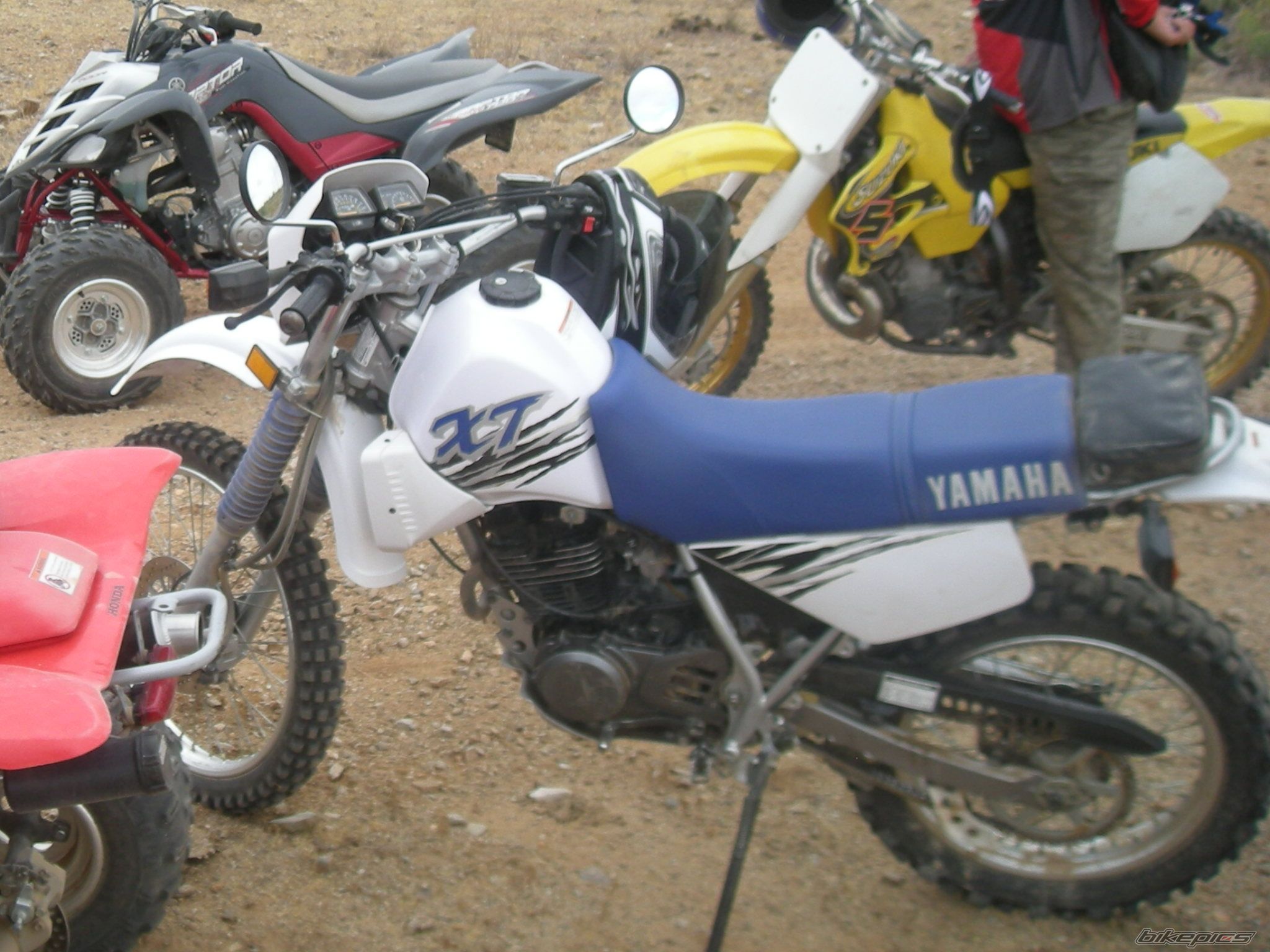 Photo 1832603