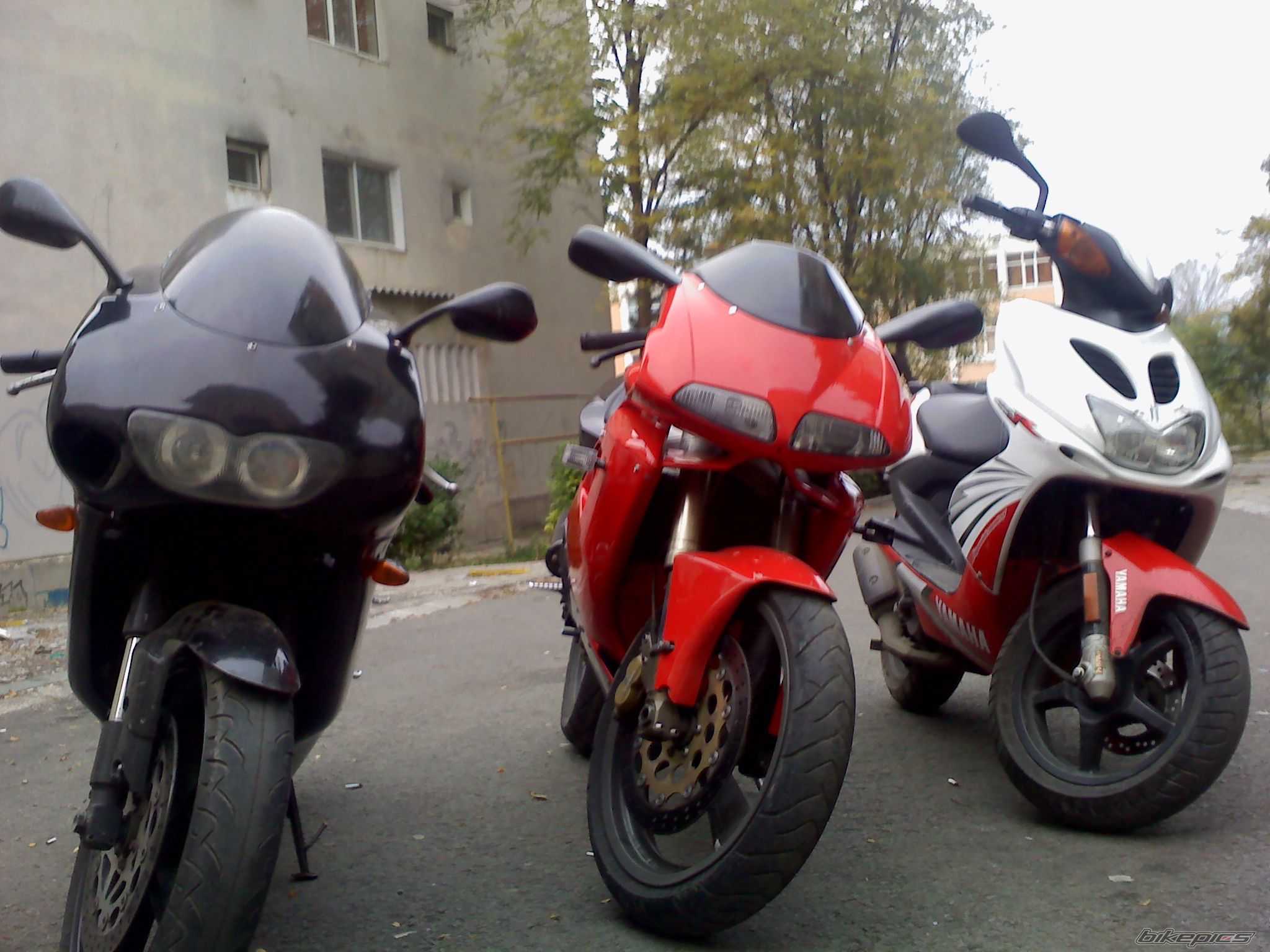 Photo 1832630