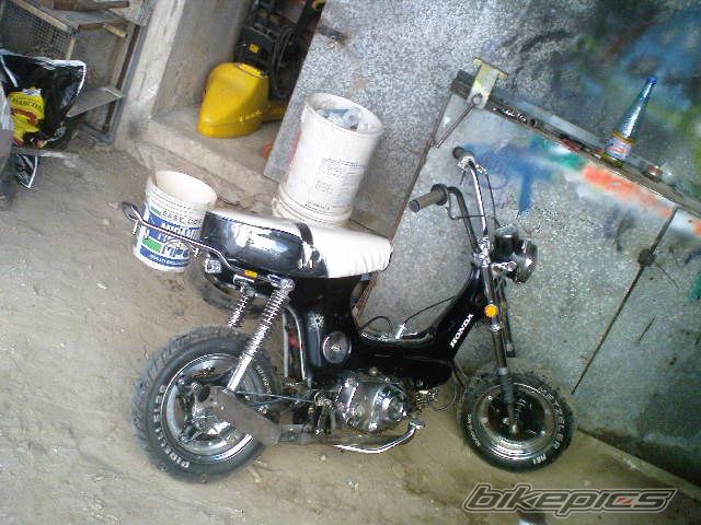 Photo 1832633