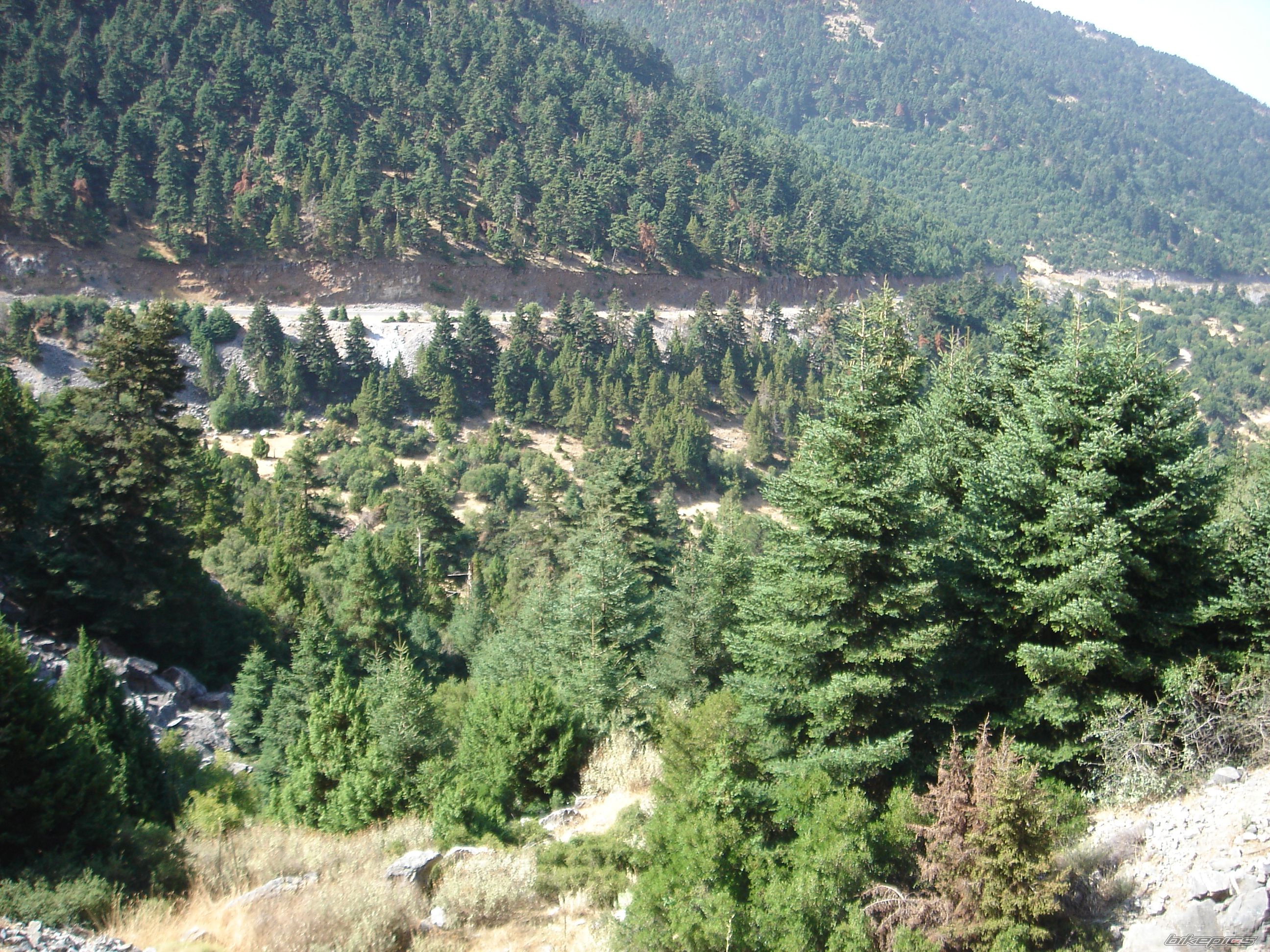 Photo 1832663