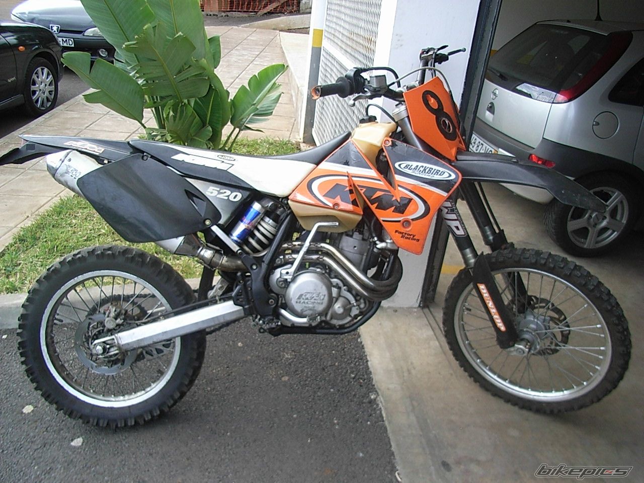 Photo 1832761