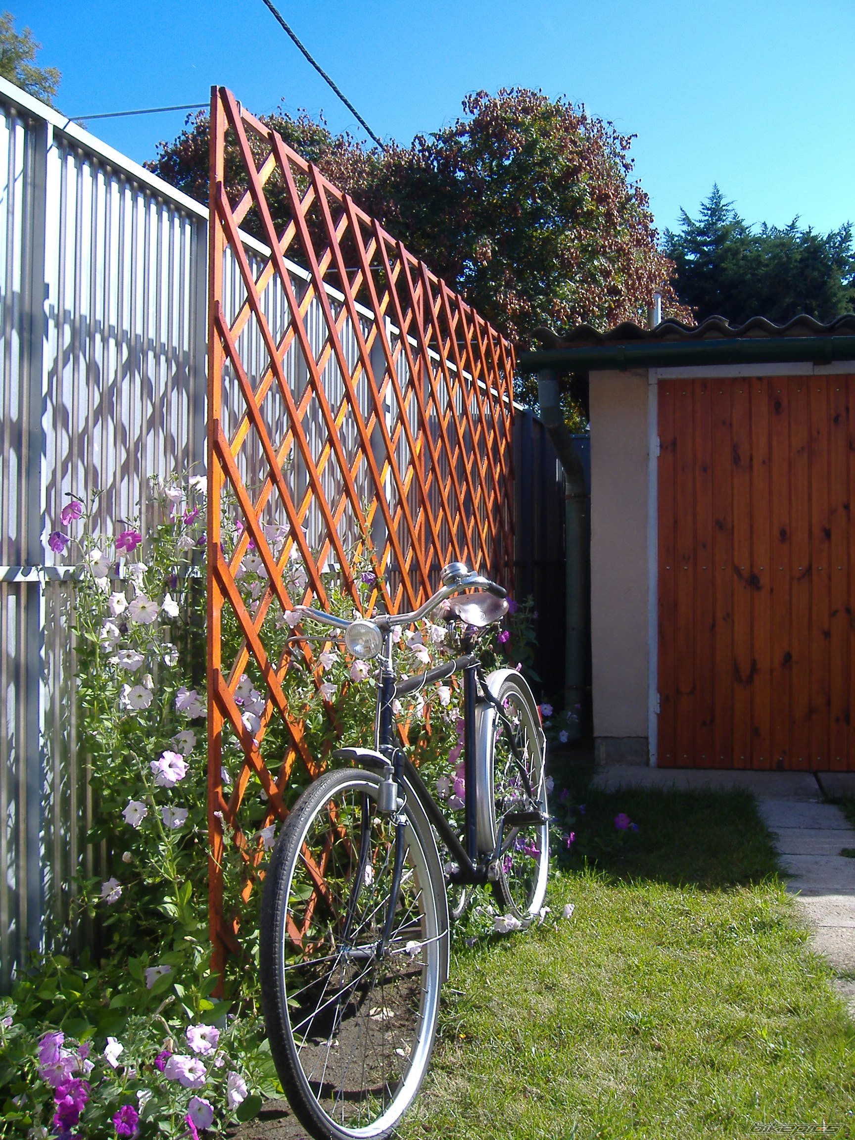 Bike Photo 1832819