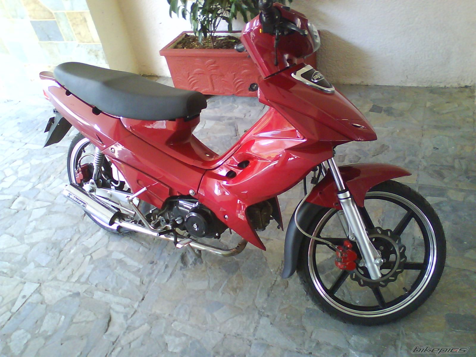 Photo 1832866