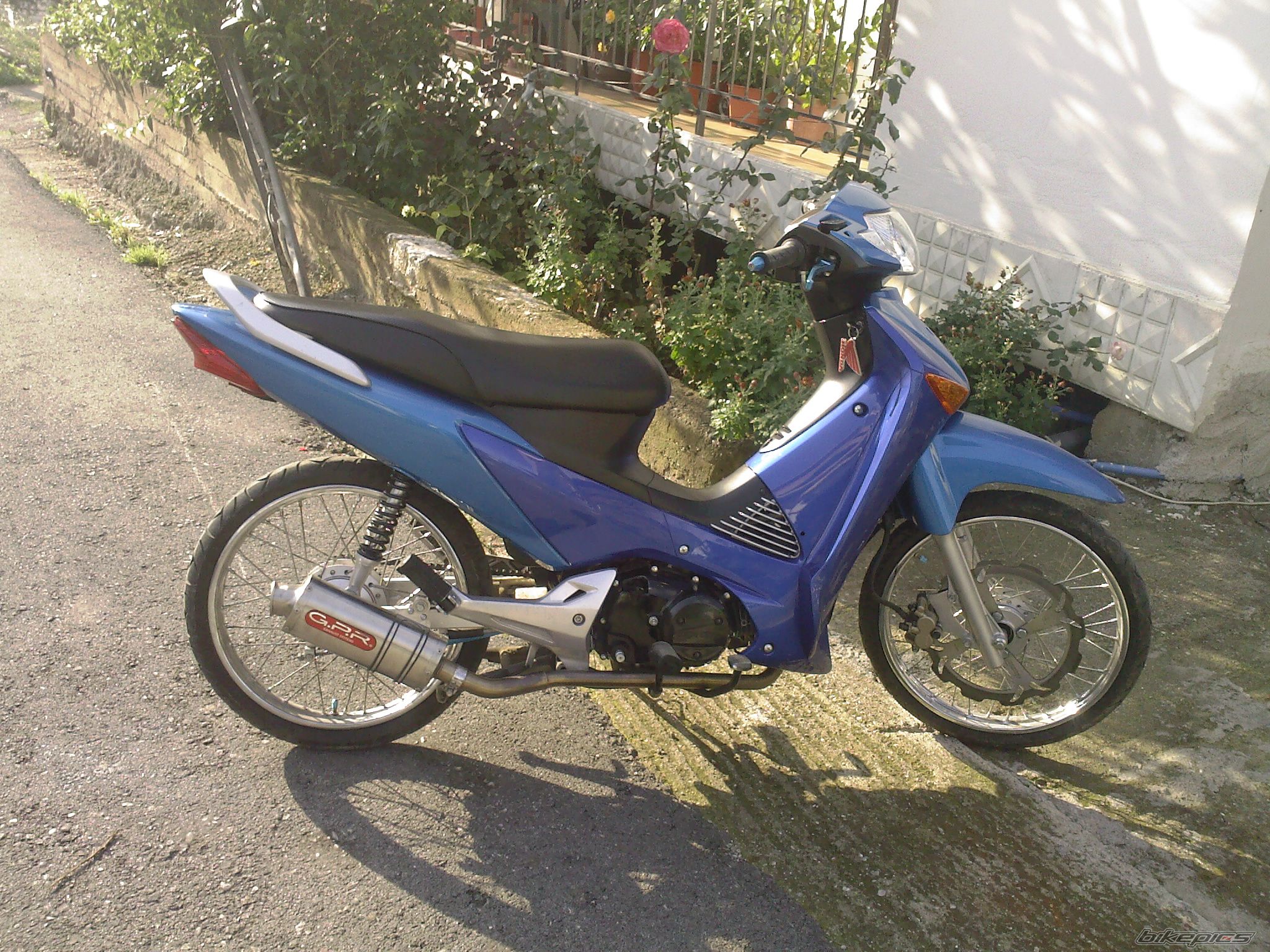 Photo 1832903