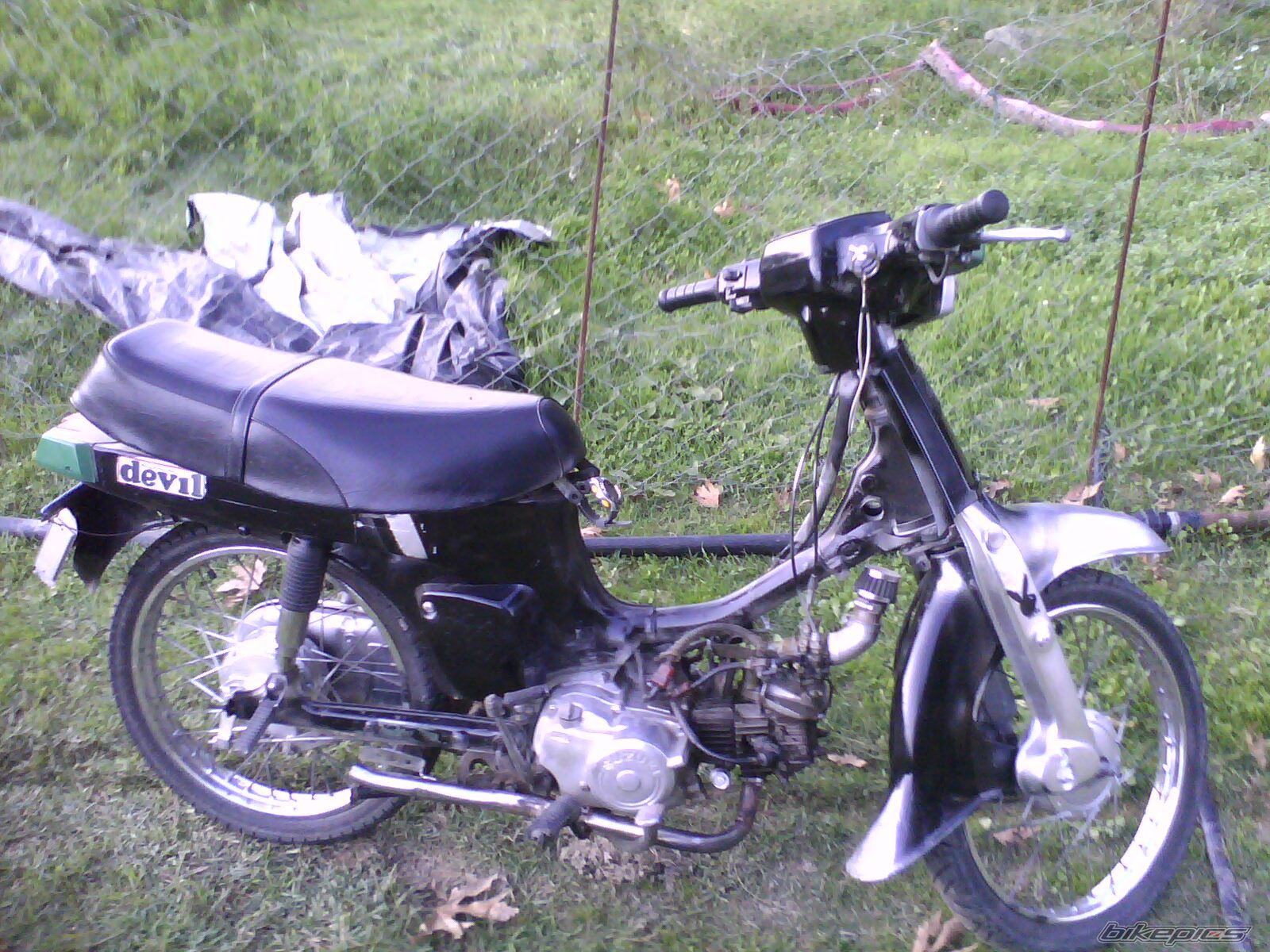 Photo 1832932